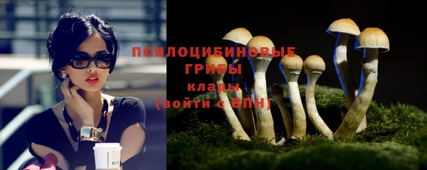 ешки Аркадак