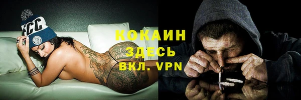 тгк Ростов