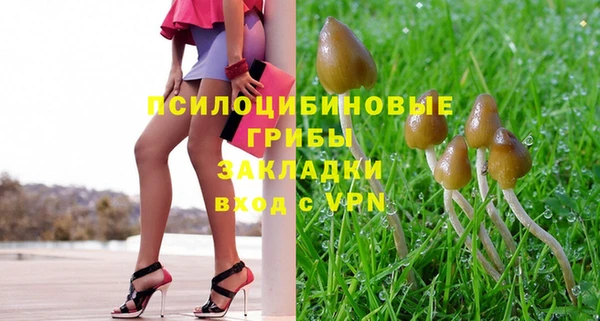 дмт Армянск